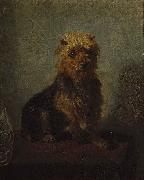 Chadwick's Dog Abbott Handerson Thayer